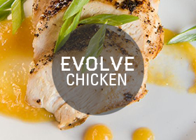 evolve chicken evolve chicken