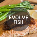 fish_new