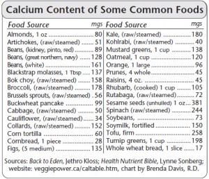 calciumrichfoods
