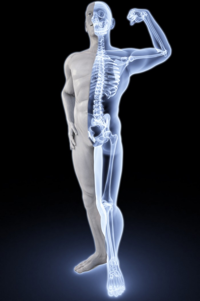 strong bones calcium